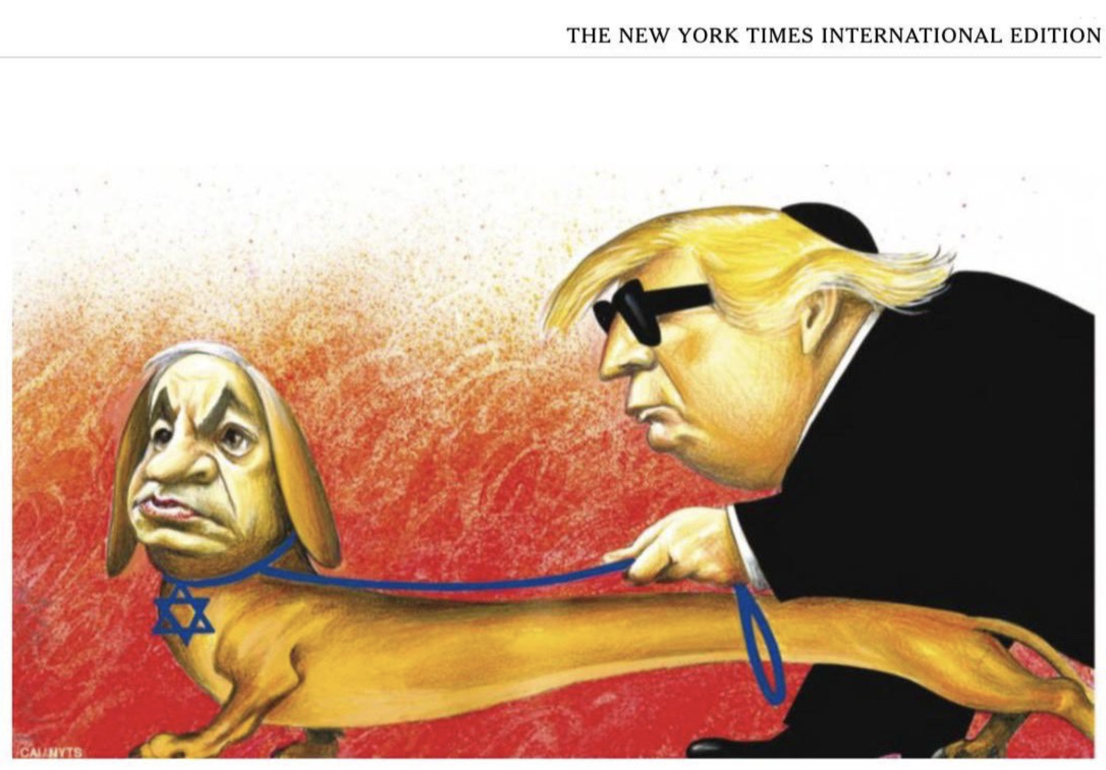 Screen Shot 2019-05-02 at 8.50.38 AM.png